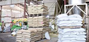 Venta de arroz a Colombia lleg&oacute; al 25%