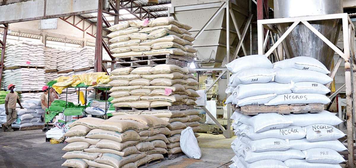 Venta de arroz a Colombia lleg&oacute; al 25%