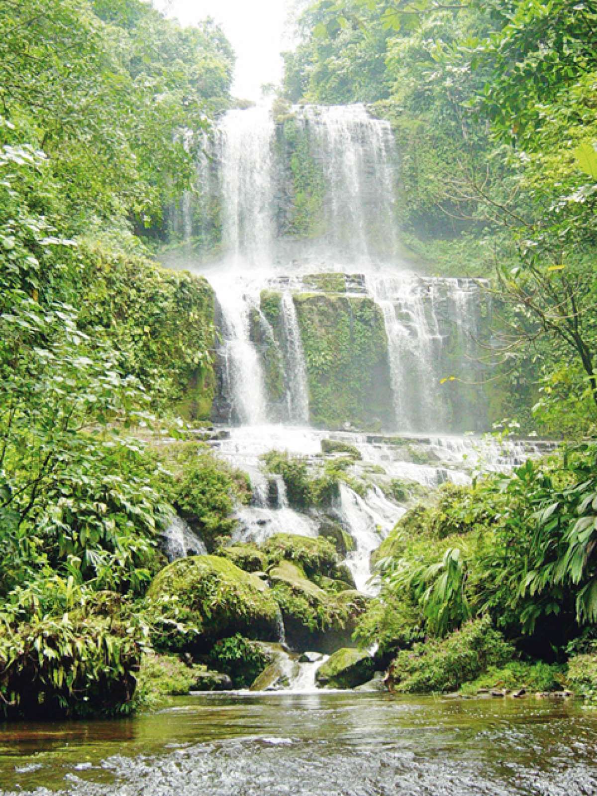 Pedernales, &lsquo;G&eacute;nesis del nombre del Ecuador&rsquo;