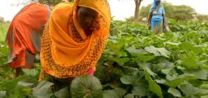 La FAO advierte que el hambre en el mundo ha aumentado en 2017