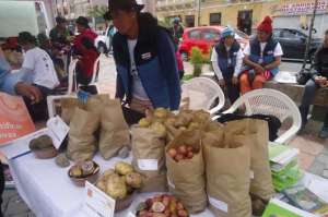 8.000 agricultores producen papas 