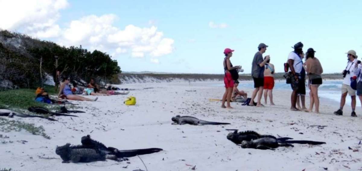 Niveles "extremadamente altos" de radiaci&oacute;n ultravioleta en Gal&aacute;pagos