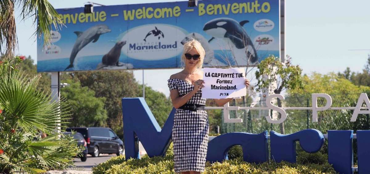 La estrella canadiense-estadounidense protest&oacute; frente al parque acu&aacute;tico Marineland, de Antibes.