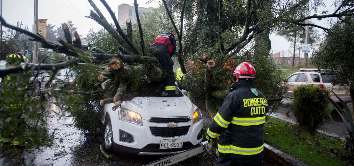 Fuerte lluvia provoc&oacute; ca&iacute;da de un &aacute;rbol sobre un carro en el norte de Quito