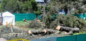 Los obreros del consorcio Acciona-Odebrecht talaban &aacute;rboles ayer en el espacio de construcci&oacute;n de una de las paradas, en el cruce de Rep&uacute;blica y Eloy Alfaro.