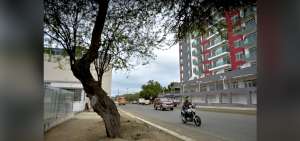 Los trabajos que se cumplen en la avenida 4 de Noviembre cambian el aspecto de la zona, la obra deber&iacute;a ser entregada en septiembre.