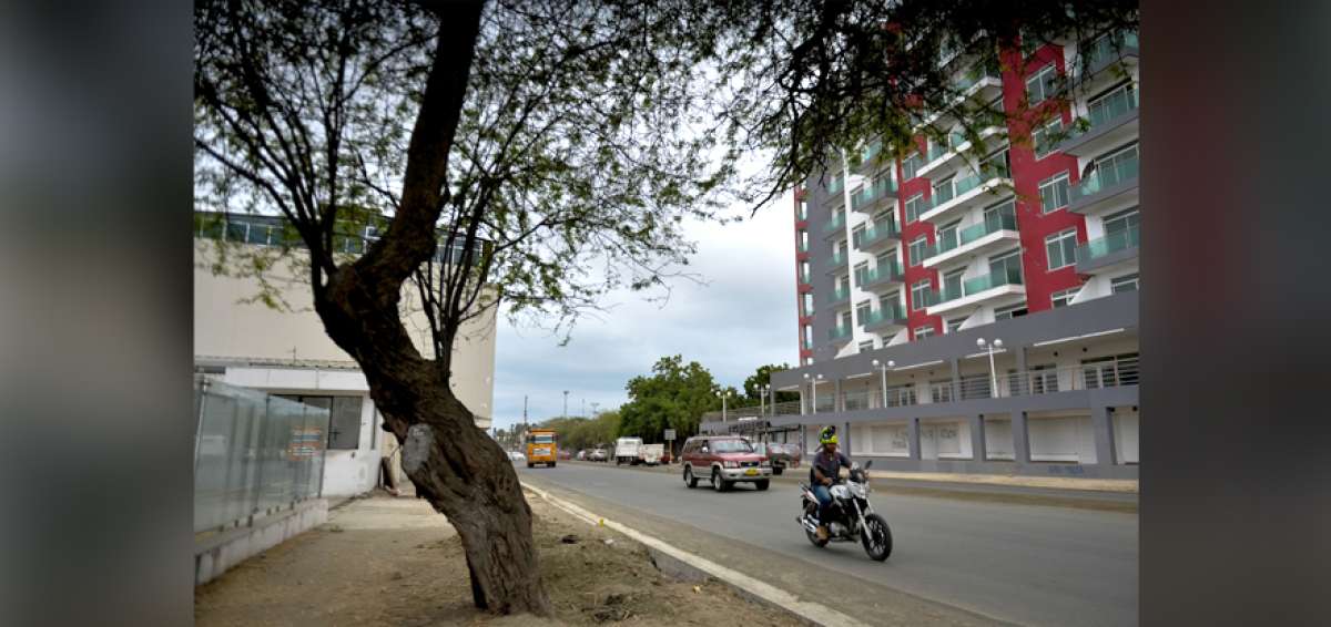 Los trabajos que se cumplen en la avenida 4 de Noviembre cambian el aspecto de la zona, la obra deber&iacute;a ser entregada en septiembre.