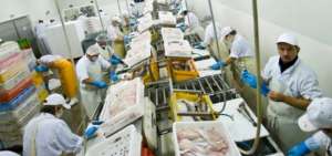 Las exportaciones brasile&ntilde;as de pescado sumaron 33,1 millones de d&oacute;lares en 2016.