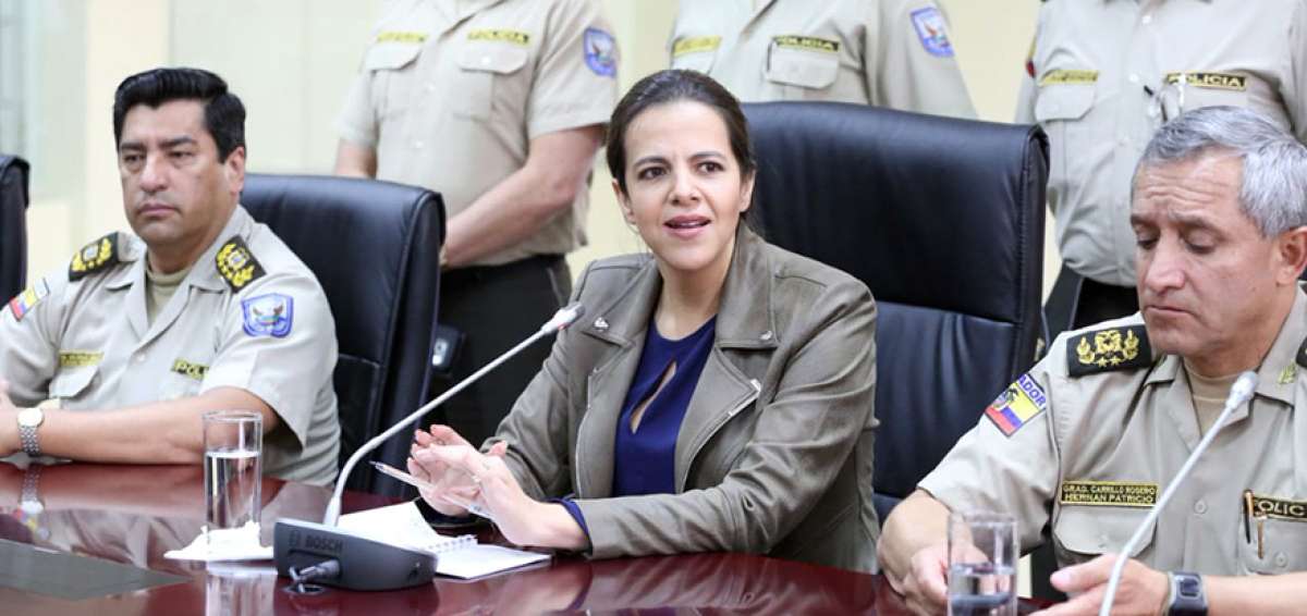 La ministra del Interior, Mar&iacute;a Paula Romo, anunci&oacute; que en el transcurso de este a&ntilde;o se dotar&aacute; a la Fuerza P&uacute;blica de armamento no letal.
