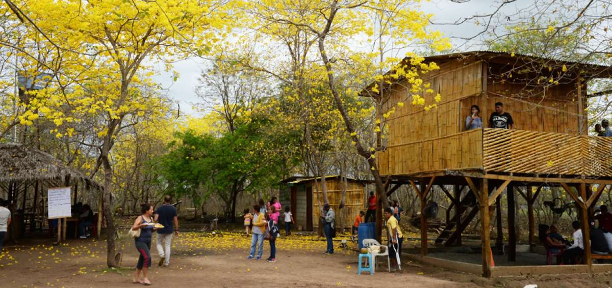 En el sitio hay un museo de objetos tradicionales del campo y espacios para que los turistas puedan descansar y alimentarse, adem&aacute;s de comprar plantas ornamentales y matas de guayac&aacute;n.