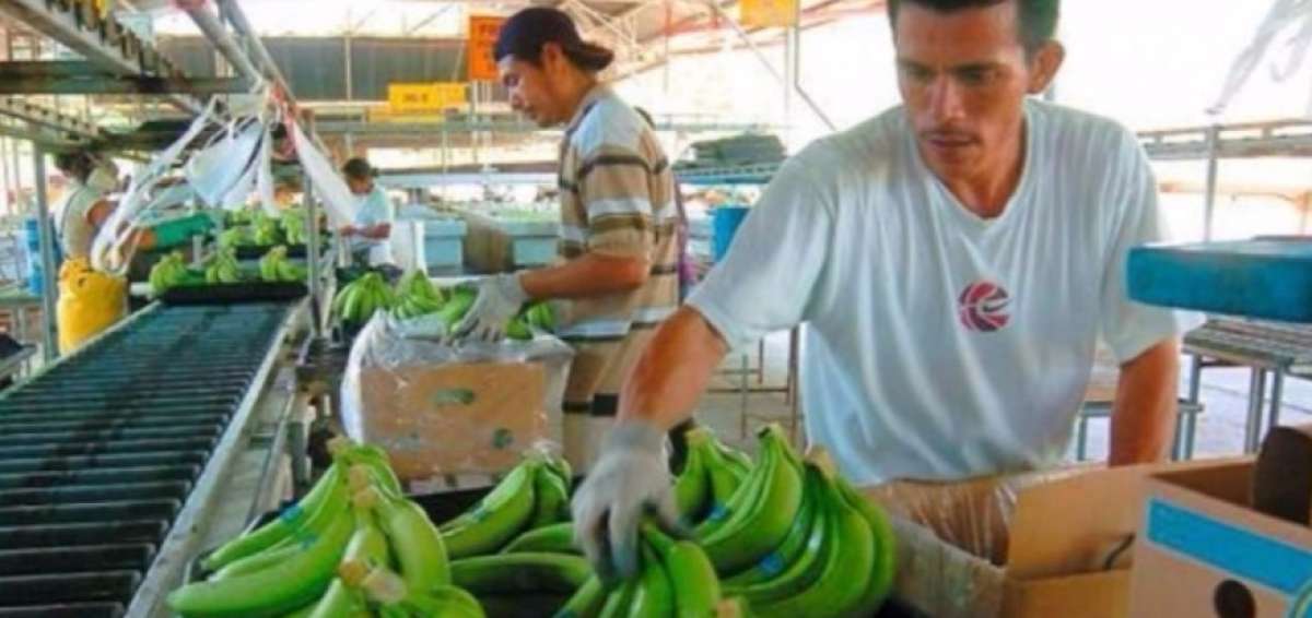 El nuevo precio empezar&aacute; a regir el 1 de enero.