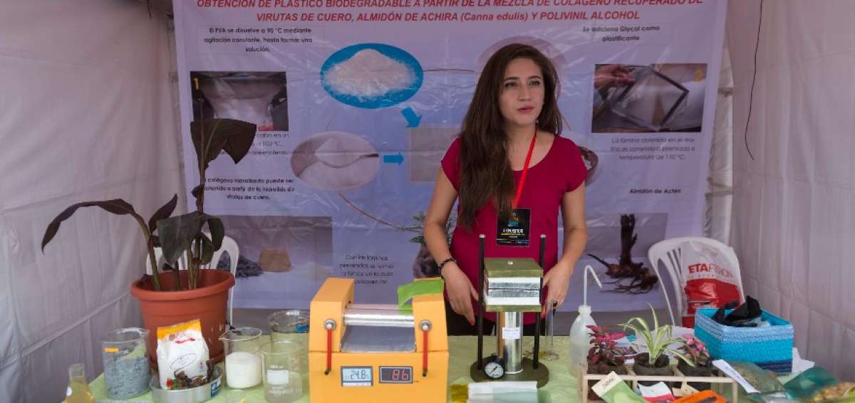 Los proyectos preseleccionados participan en las ferias que se realizan en las principales ciudades del pa&iacute;s, como parte del concurso. 