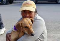   En el Día Mundial de la Esterilización, más de 400 animales de compañía en Quito fueron beneficiados con este proceso.