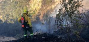 Los incendios forestales aumentaron 76% en Quito