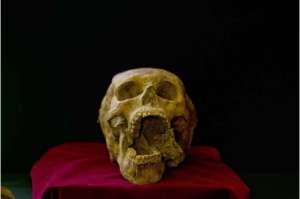 Cient&iacute;ficos hallan osamentas de 1.600 a&ntilde;os de antig&uuml;edad
