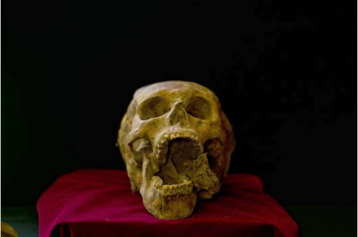 Cient&iacute;ficos hallan osamentas de 1.600 a&ntilde;os de antig&uuml;edad