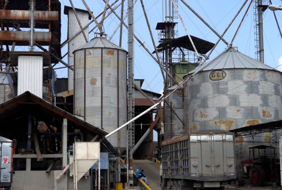 El Gobierno fortalece la compra p&uacute;blica del arroz.