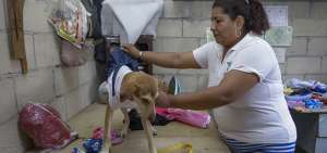 La costurera Mariana Gushque toma las medidas a Sofy, una de sus clientas y mascota de su vecina. La creadora le prueba una de sus piezas a la perrita.  