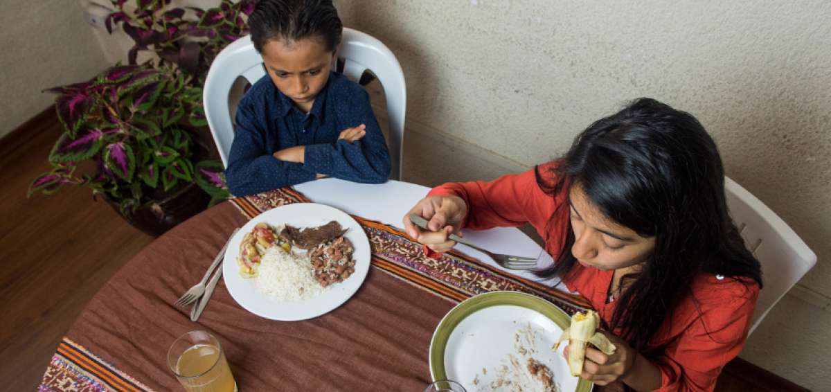La p&eacute;rdida del apetito puede ser por causas fisiol&oacute;gicas o nerviosas. Todo ni&ntilde;o tiene problemas para comer alg&uacute;n alimento, pero si ya no quiere ingerir nada podr&iacute;a afectar su crecimiento y su desarrollo neuronal.