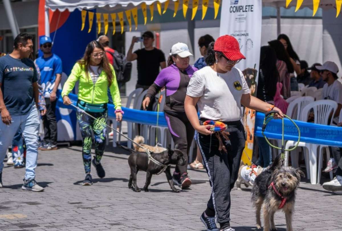 Samborondón disfrutó del Festival Tradición y Costumbres