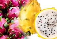 La industria agrícola ecuatoriana marca un hito con la exportación de la pitahaya. 