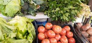 Feria Agro Productiva se realizar&aacute; los fines de semana