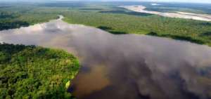 Se busca restauraci&oacute;n forestal de 6.561 hect&aacute;reas en la Amazon&iacute;a