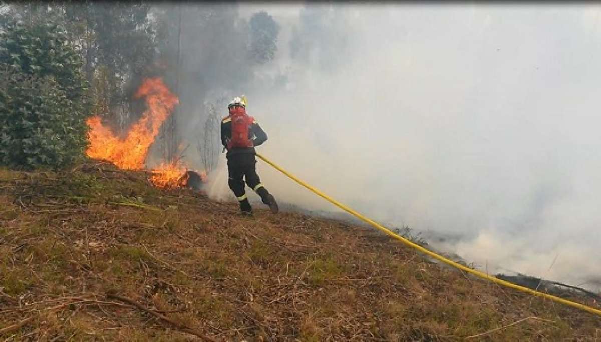 30 hect&aacute;reas de bosque consumidas por incendio en Cotopaxi