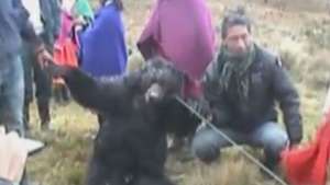 Imagen captura de video
