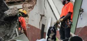 Los medios de comunicaci&oacute;n han difundido la imagen del perro h&eacute;roe. 