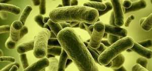 Un estudio advierte sobre bacterias resistentes a los antibi&oacute;ticos