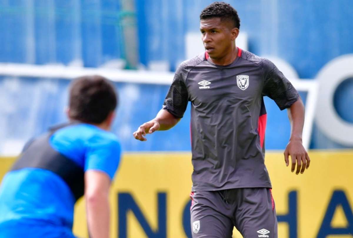 Ecuaf&uacute;tbol y Leones siguen en pol&eacute;mica