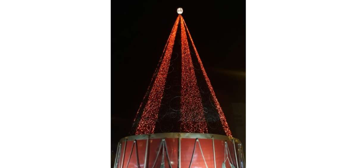 El &aacute;rbol tiene 23 metros de altura.