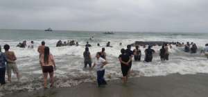 Ballena jorobada varada en las costas de Santa Elena fue liberada