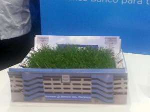 Dentro de una maqueta se coloc&oacute; el c&eacute;sped del estadio para ser vendido. Foto toma de @oortega10.