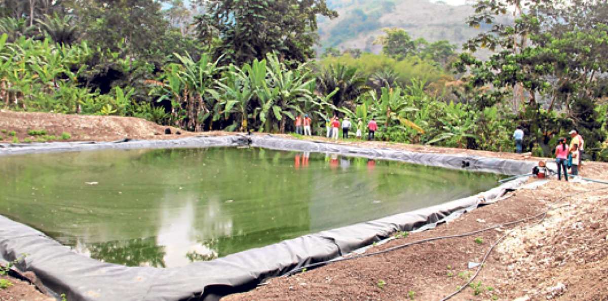 En 11 cantones de la provincia de Manab&iacute; se construyeron 405 microrreservorios. Foto: Cortes&iacute;a
