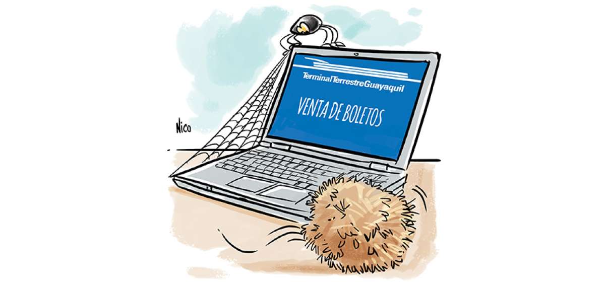 Indiferencia online
