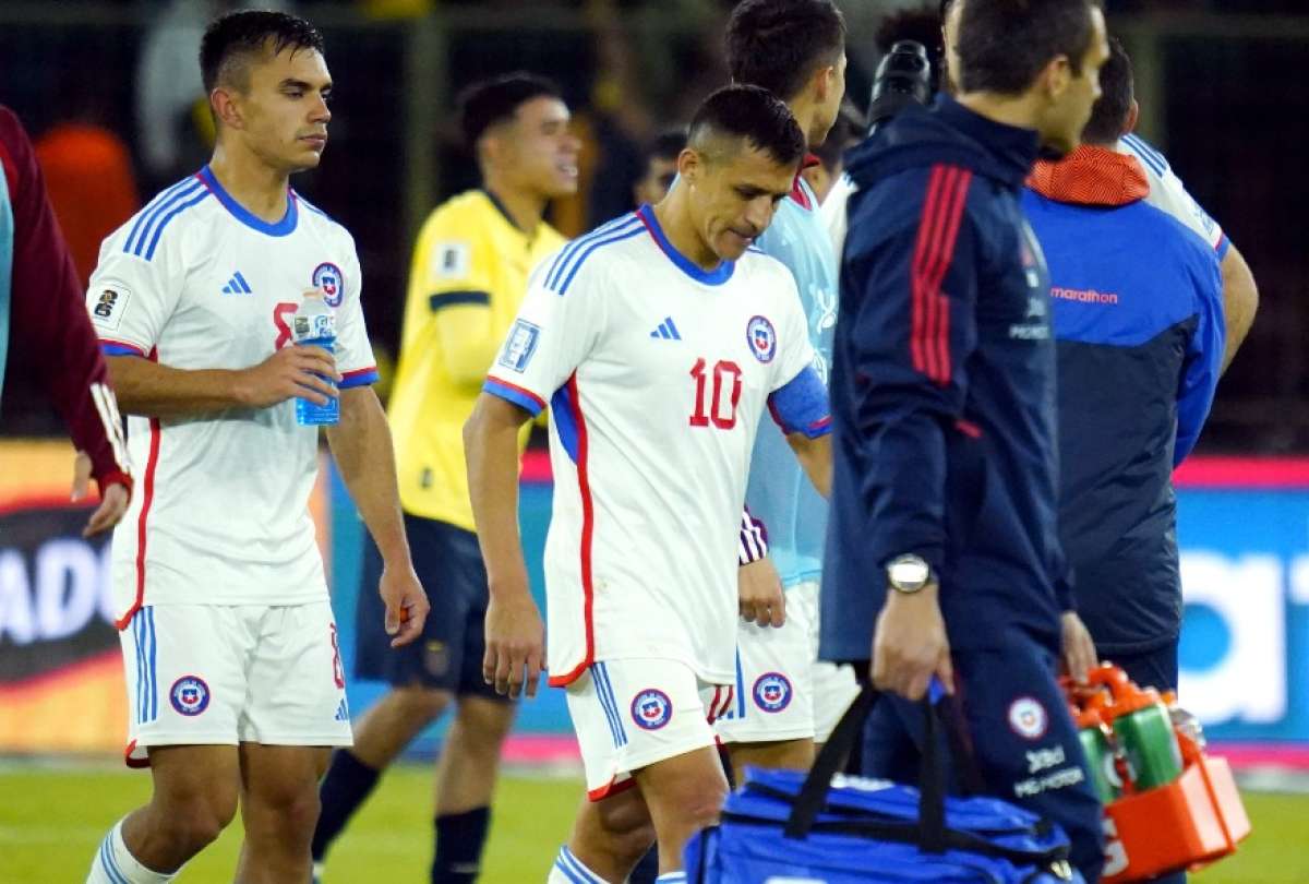 La intensa reacción de un hincha de Chile sobre el final del partido ante Ecuador