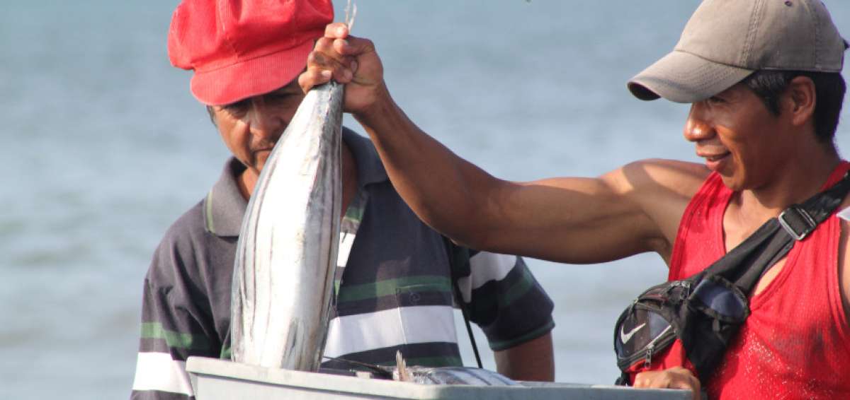 Unos 60 mil pescadores ser&aacute;n carnetizados por el Magap