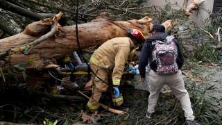 Un árbol gigante cayó sobre dos mujeres y un menor de edad en Cuenca.