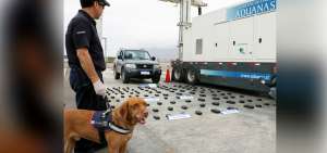 Personal aduanero de Chile en el sector El Loa, en Iquique, decomis&oacute; 67 paquetes de clorhidrato de coca&iacute;na y 68 de marihuana.