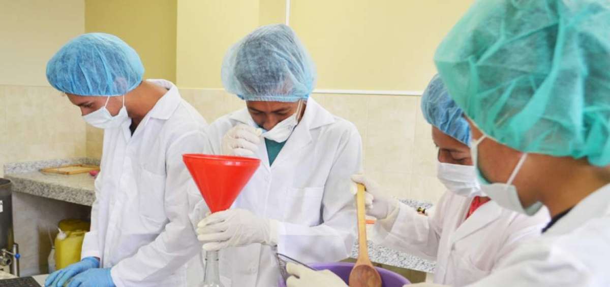 J&oacute;venes procesan frutas ancestrales