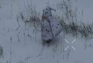 Un soldado ruso fue eliminado por drones