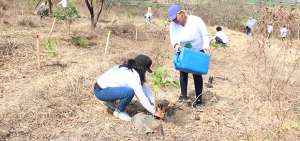 Mariuxi Shany reg&oacute; las plantas nativas (ceibo, jaboncillo,pechiche y laurel) que previamente otros funcionarios hab&iacute;an sembrado en el bosque.
