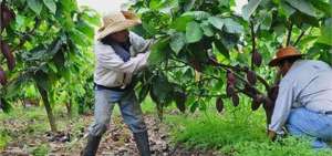 Campesinos reciben kit agr&iacute;cola subsidiado