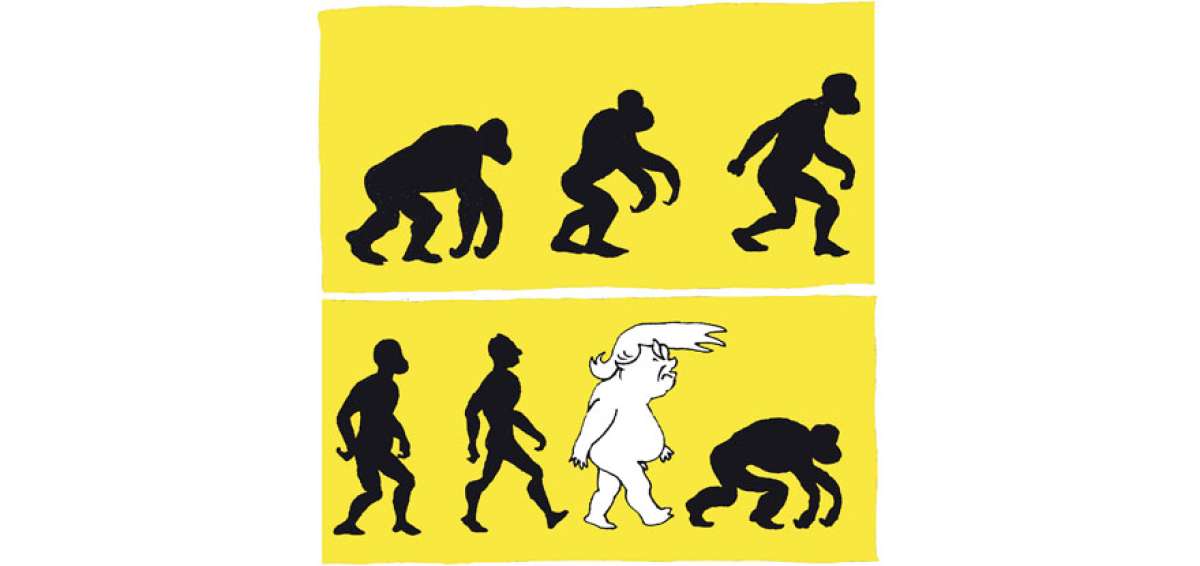 Evoluci&oacute;n