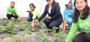 Los estudiantes desarrollan proyectos de cultivo. 