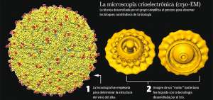 T&eacute;cnica para ver mol&eacute;culas gana el Nobel de Qu&iacute;mica