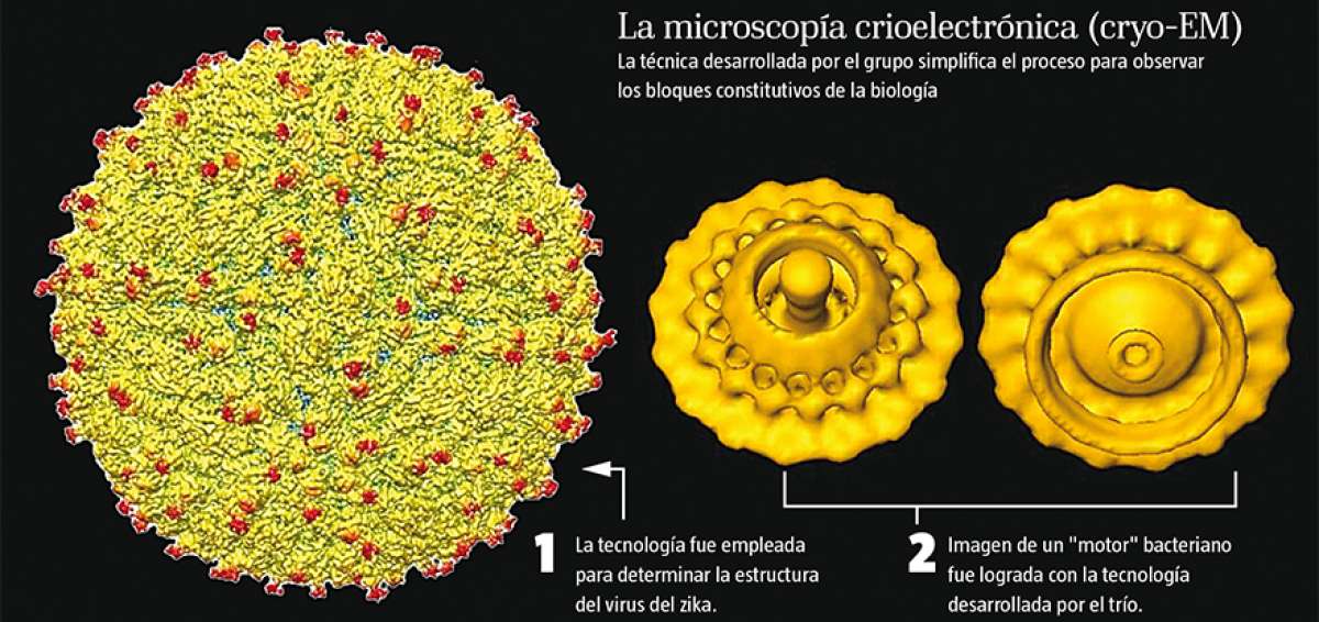 T&eacute;cnica para ver mol&eacute;culas gana el Nobel de Qu&iacute;mica