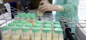 Las tomas de leche materna se realizan bajo  estrictas medidas de salubridad. En los hospitales, 14 expertos apoyan a las madres donantes.